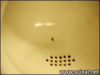 Urinal