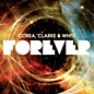 Review of Forever Review of Forever