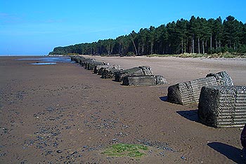 Tentsmuir (Fife)