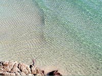 Fishing at Porthcurno Beach