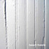 Review of Beach Fossils Review of Beach Fossils
