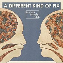 Review of A Different Kind of Fix Review of A Different Kind of Fix