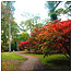Woodlands Index (Image: Westonbirt)