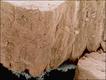 Casca de ovo quebrada (Steve Gschmeissner/ Barcroft Images)