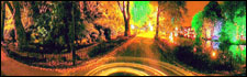 Walsall Illuminations