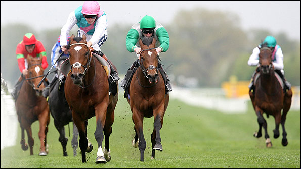 Frankel and Tom Queally winning Newbury's Greenham Stakes