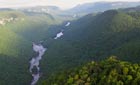 View of Guyana's forest