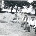 Making Hay