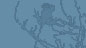 BBC Robert Burns logo