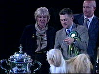 Willy the winner - Best in Show dog 2007