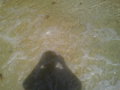 Shadow
