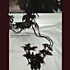Review of Didymoi Dreams Review of Didymoi Dreams