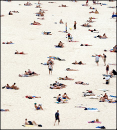 Bondi Beach