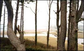 Mouth of the River Otter