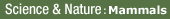 Visit BBC Science & Nature's Mammals section