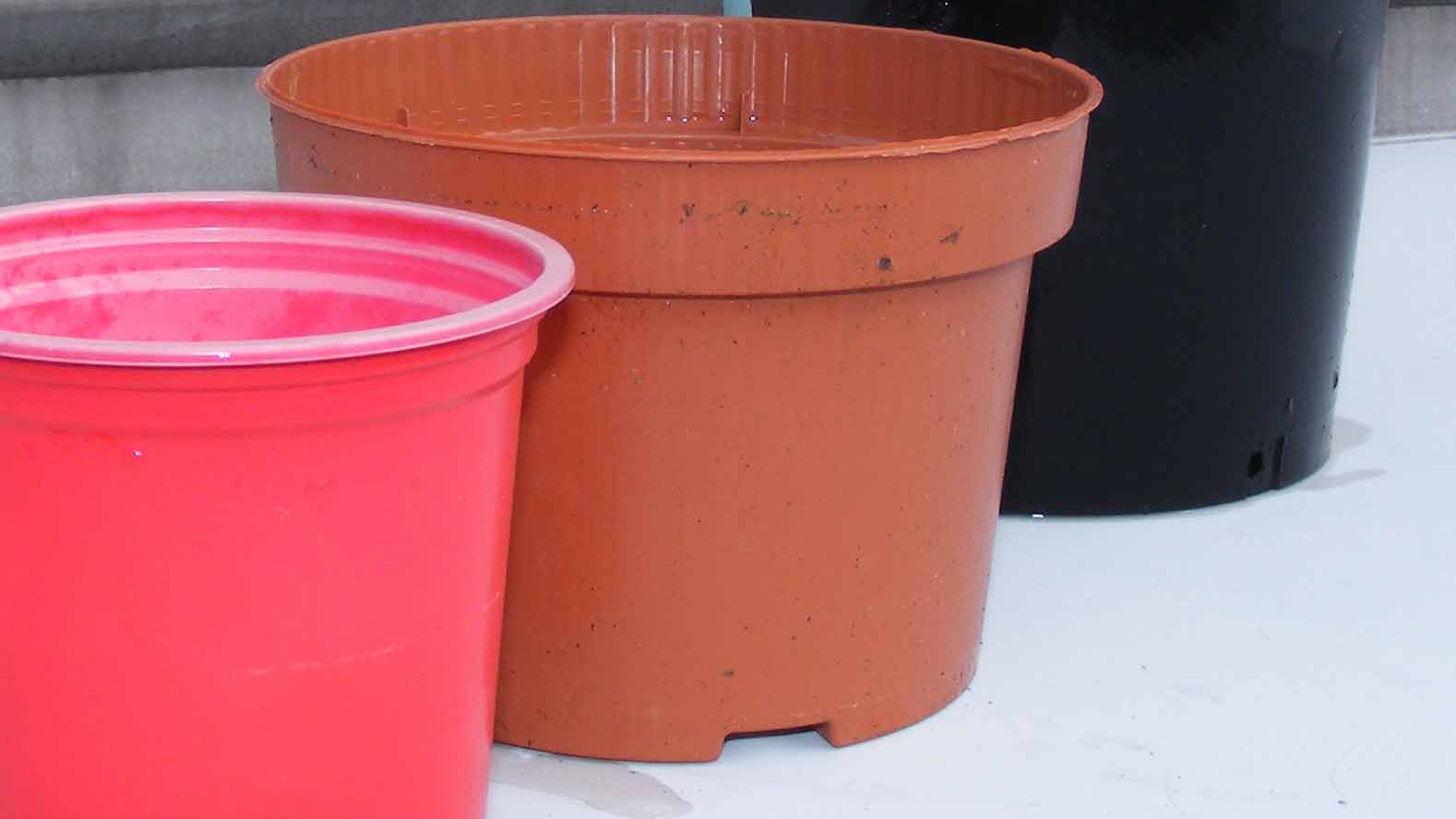 Matthew Wilson explains the historical significance of plant pots.