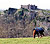 Castell Carreg Cennen