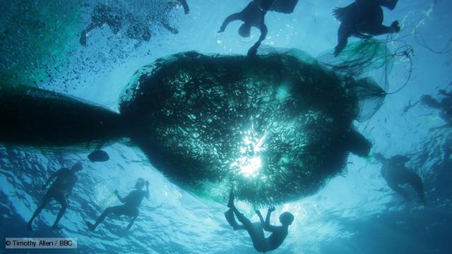 Humans fishing underwater
