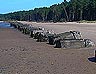 Tentsmuir (Fife)