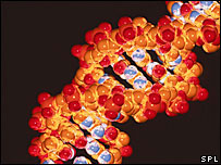 DNA (imagem de modelo de computador)