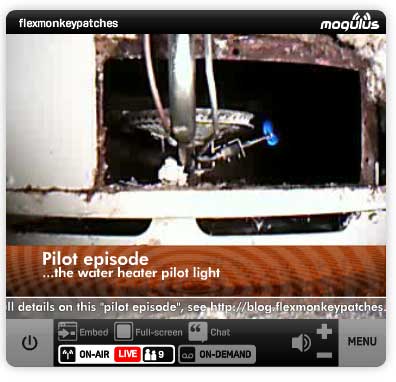 pilot_light.jpg