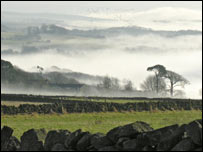 Mist over fields near Corbridge. Photo: Brian Watson