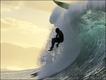 Foto: Brian Bielmann/Solent News