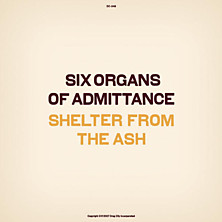 Review of Shelter From the Ash Review of Shelter From the Ash