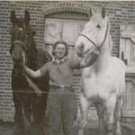 Pat and two of the farm horses