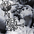Review of Release The Stars Review of Release The Stars