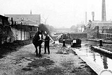Eddie with 'Mac' pulling the last horse drawn canal boat in Walsall at the Walsall Locks in 1965