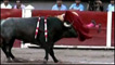 José Tomás atacado por touro