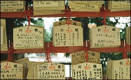 Japanese fortune cards