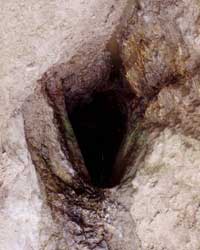 Entrance to mine