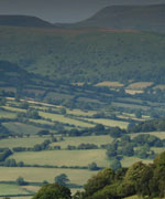 Fields