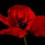 rememberance