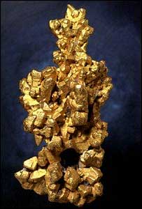 © Natural History Museum