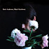 Review of Black Rainbows