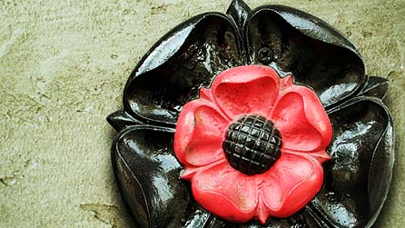 A Tudor Rose